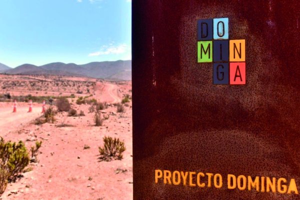 Dominga: Andes Iron solicita al Tribunal Ambiental “aclarar, rectificar o enmendar” resolución ante disímiles interpretaciones