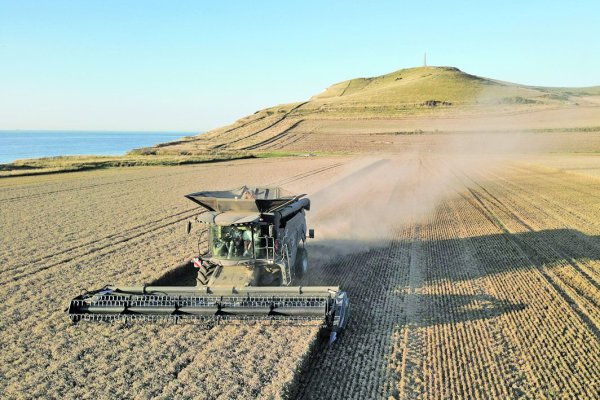 A tres años del inicio de la invasión a Ucrania los precios de los alimentos se moderan, aunque la guerra sigue