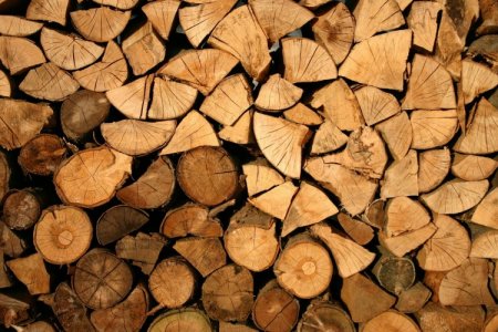 Empresas forestales de Argentina planean invertir US$ 3.000 millones por ingreso al RIGI