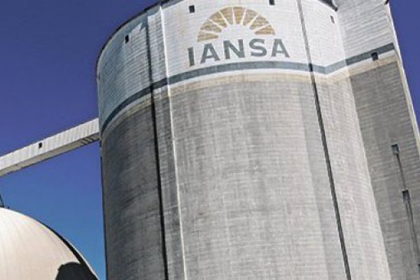 Utilidades de Iansa caen con fuerza en 2024 pese a fuerte flujo operacional