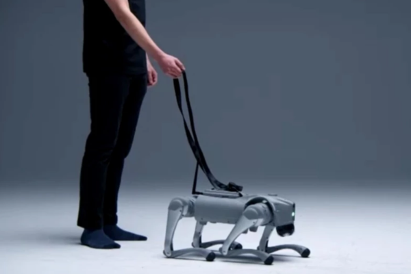 Empresa sueca de IA crea un perro robot con un sistema nervioso que le permite aprender y adaptarse como los humanos