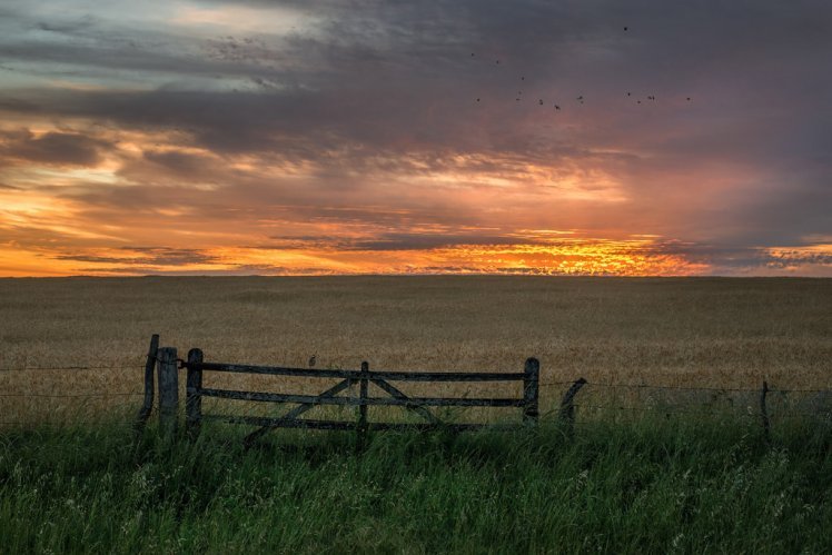 <p>Venta de campos se reactiva en Argentina tras mayor estabilidad económica del país</p>
