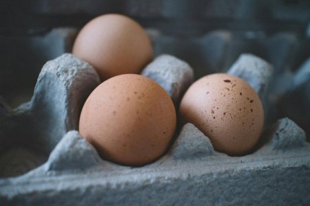 En medio de guerra comercial, EEUU recurre a Brasil para obtener huevos ante nuevo brote de gripe aviar