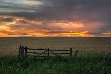 Venta de campos se reactiva en Argentina tras mayor estabilidad económica del país