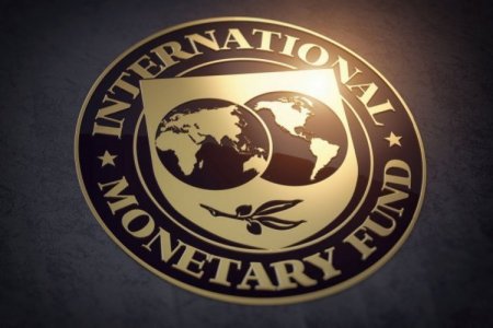 El FMI llega con invitados a Argentina: su apuesta es levantar el cepo cambiario