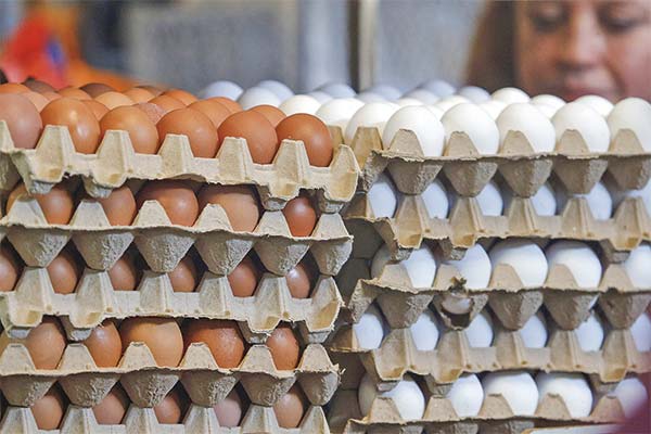 Empresa de Brasil compra productor de huevos de EEUU en US$ 1.100 millones