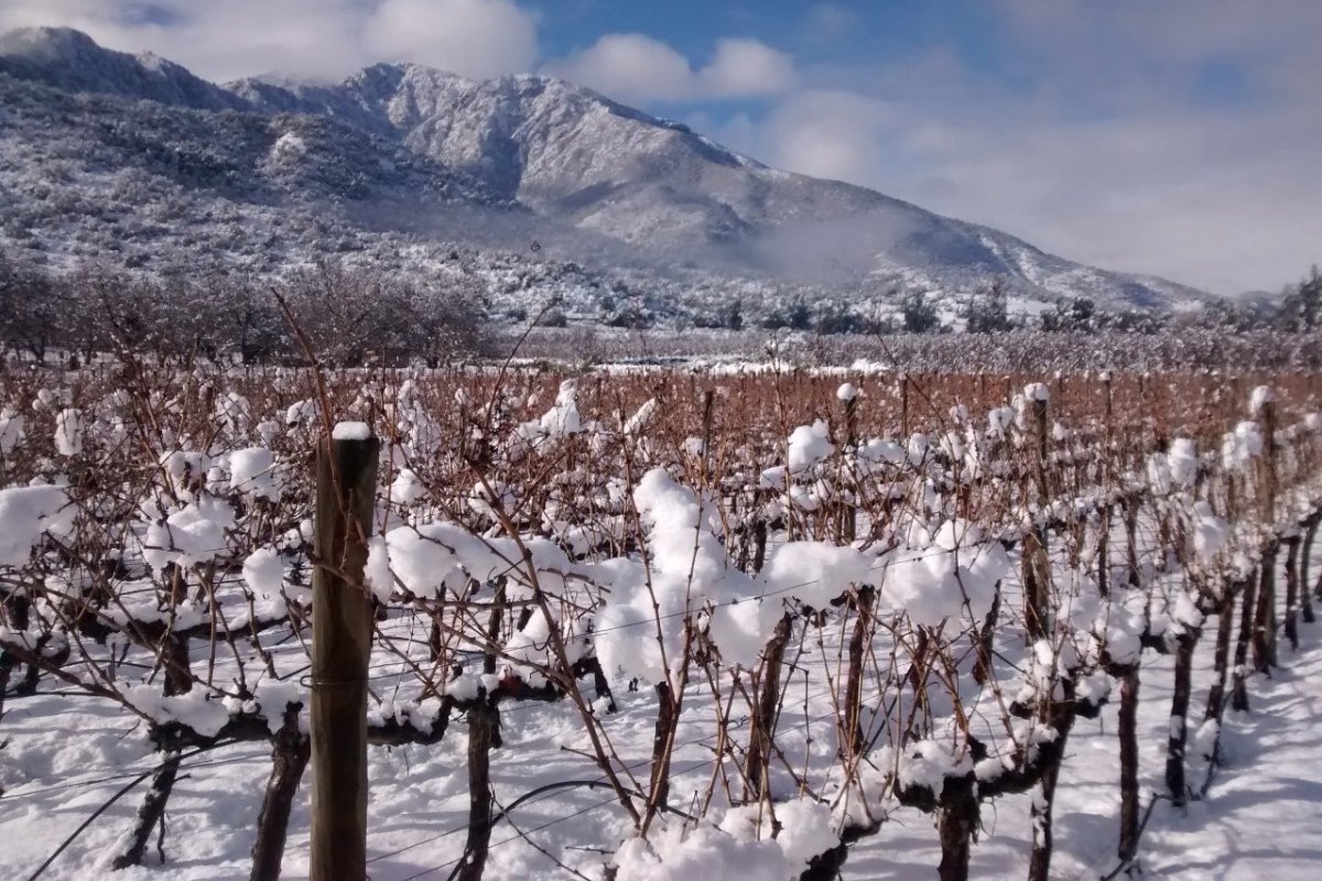 <p>Viña cordillerana escogida como la mejor del año en Guía Descorchados</p>