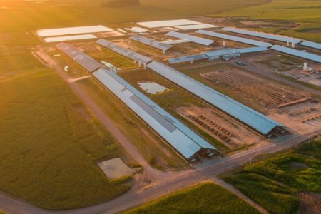 De Soros a las criptomonedas: Tether pagó US$ 600 millones y toma el control de la argentina Adecoagro