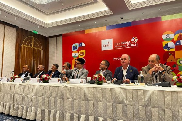 Gremios chilenos valoran inicio de negociaciones para nuevo acuerdo comercial con India y destacan que abre la puerta para 10 mil productos