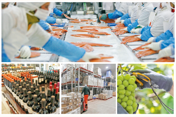 <p>US$ 8.000 millones en envíos chilenos expuestos a aranceles de Trump y medida golpea con fuerza a salmones y frutas</p>