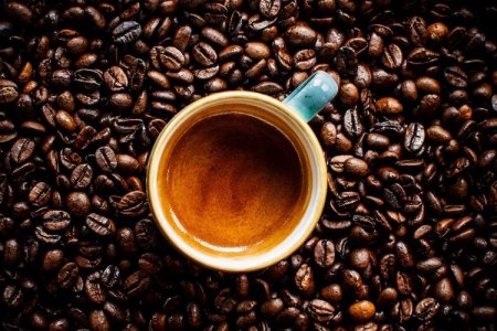 México apunta a la exportación de café en Latinoamérica y tiene a Brasil y Chile como sus principales destinos