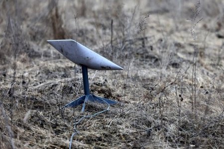 Brasil autoriza a Starlink, de Elon Musk, a poner en órbita 7.500 nuevos satélites en el país