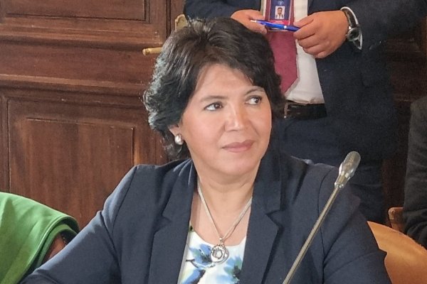 Guerra comercial: senadora Provoste pide al Gobierno urgencia para el proyecto que subsidia las cuentas de luz