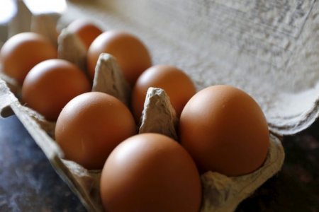 Estados Unidos se convierte en el mayor importador de huevos de Brasil