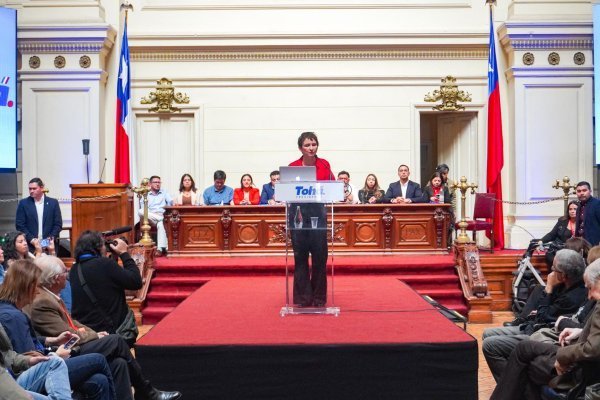 <p>En su proclamación, timonel del PPD invita a sus socios del PS a “hacer propia” la candidatura de Tohá</p>