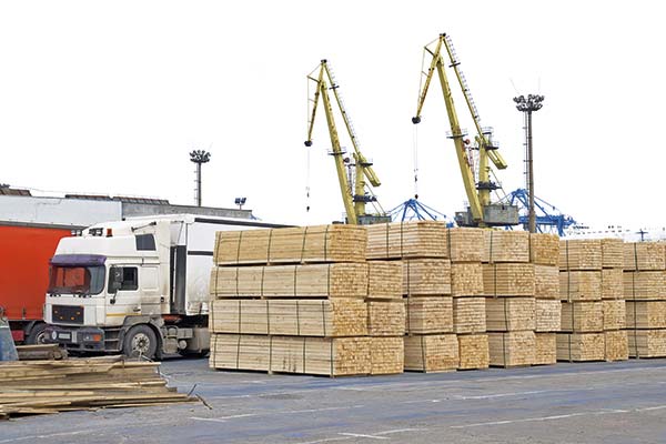 Posible arancel a la madera: Chile envía carta a EEUU y se defiende como “socio fiable y comprometido”