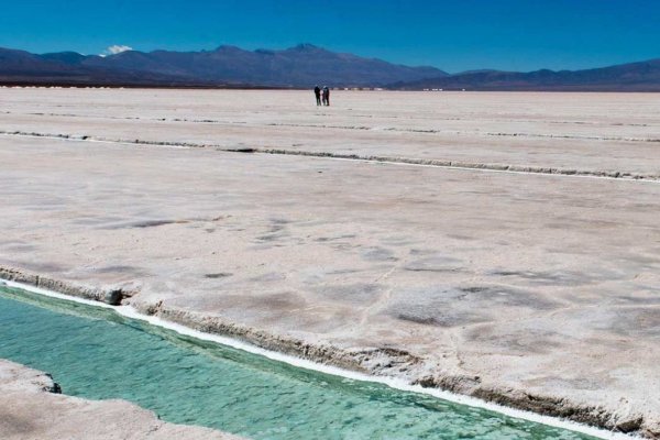 Trump ordena estudiar aranceles a todas las importaciones de EEUU de minerales críticos, incluido el litio