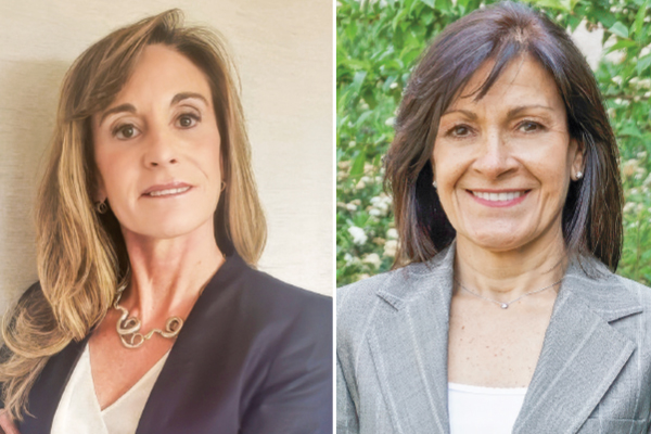 <p>La directora de Casaideas, Dolores Lasen, es la carta de las AFP para Socovesa. La ingeniera Catalina Cabello y José Miguel Quintana son los candidatos para Besalco.</p>