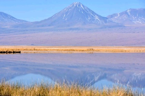 <p>Definición de Red de Salares Protegidos: comunidades indígenas emplazan a Boric a considerar criterios científicos y conocimientos ancestrales</p>