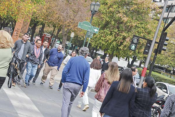 <p>Foto: Pablina Salinas </p>