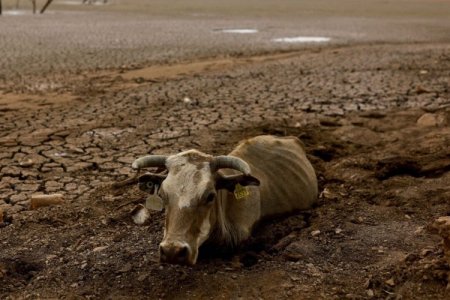 Agricultores del norte de México luchan contra la sequía en medio de disputa por agua con EEUU
