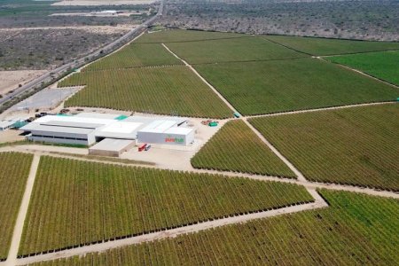 El nutrido abanico de negocios que busca expandir la dupla Cueto y Piñera Morel en Perú