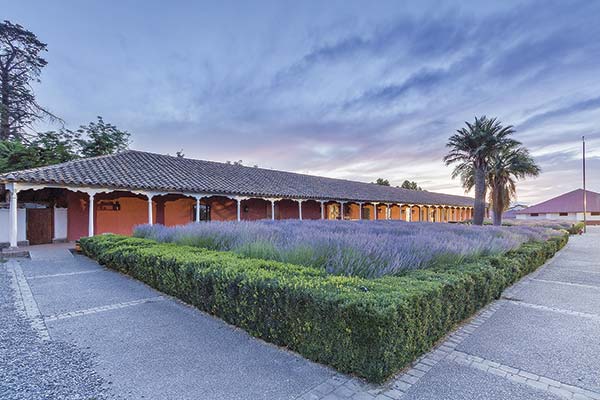 Ventas de Santa Rita alcanzan $ 31.130 millones durante el primer trimestre de 2025
