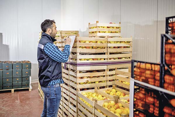 Banca deja de apostar por productores de fruta y créditos caen 32% en cinco años