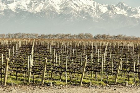Mendoza, el corazón vitivinícola de Argentina, pone la mira en las riquezas del cobre