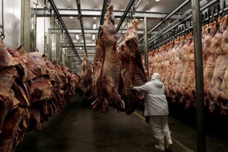 Brasileña Minerva revierte pérdidas de 2024: gana casi US$ 38 millones en primer trimestre