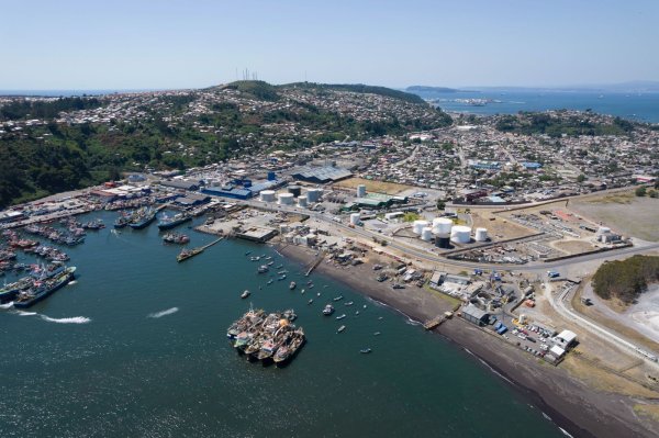Pescadores Industriales del Biobío arremeten contra el Gobierno por anuncio de PacificBlu: "Es el resultado de una negativa e ideologizada visión"