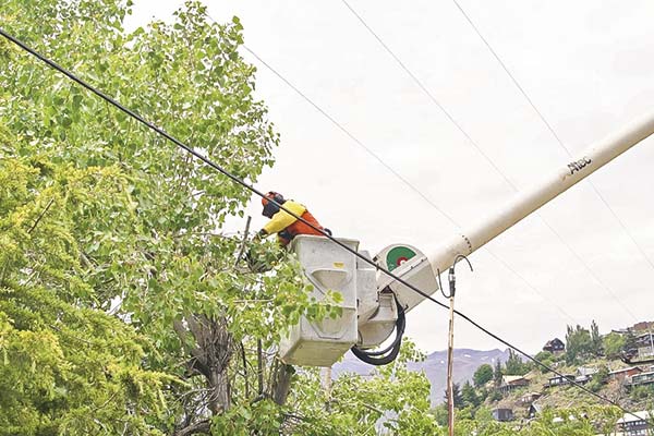 <p>Nueva CEO de Enel se enfrenta a la SEC: rechaza oficio que exigiría poda y tala de miles de árboles</p>