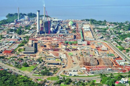 De potencia forestal a hub logístico: el nuevo rol de Brasil en la cadena global de la celulosa