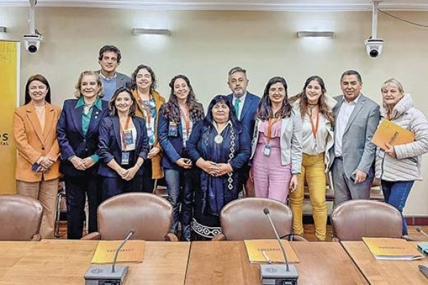 <p>Parte de la bancada pro startups de la Cámara de Diputados.</p>