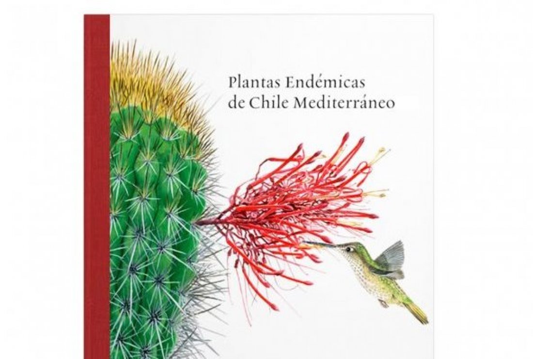<p>10 artistas chilenos ilustran en acuarela 51 especies emblemáticas de Chile</p>