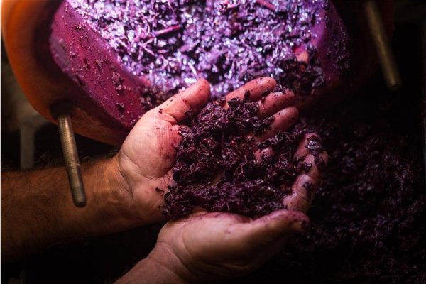<p>La convocatoria ReWine abre este miércoles 28 de mayo.</p>