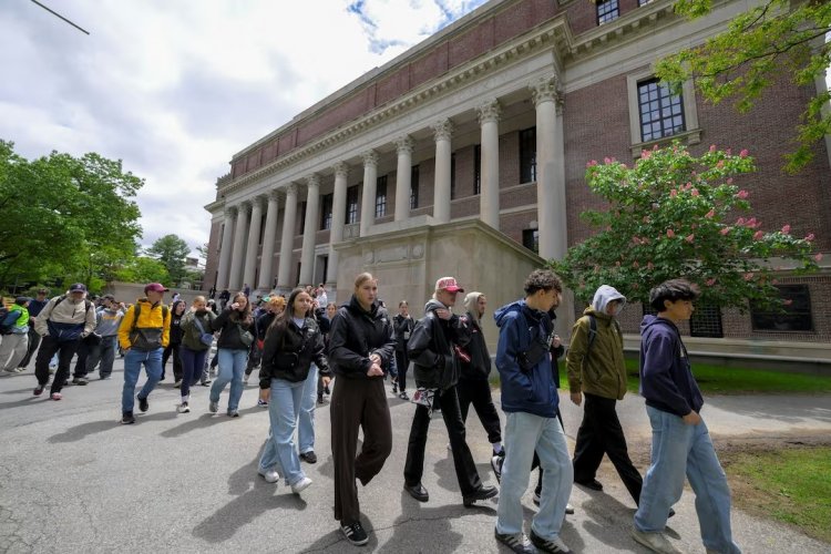 <p>EEUU frena entrevistas para visas de estudiantes mientras evalúa investigar redes sociales</p>