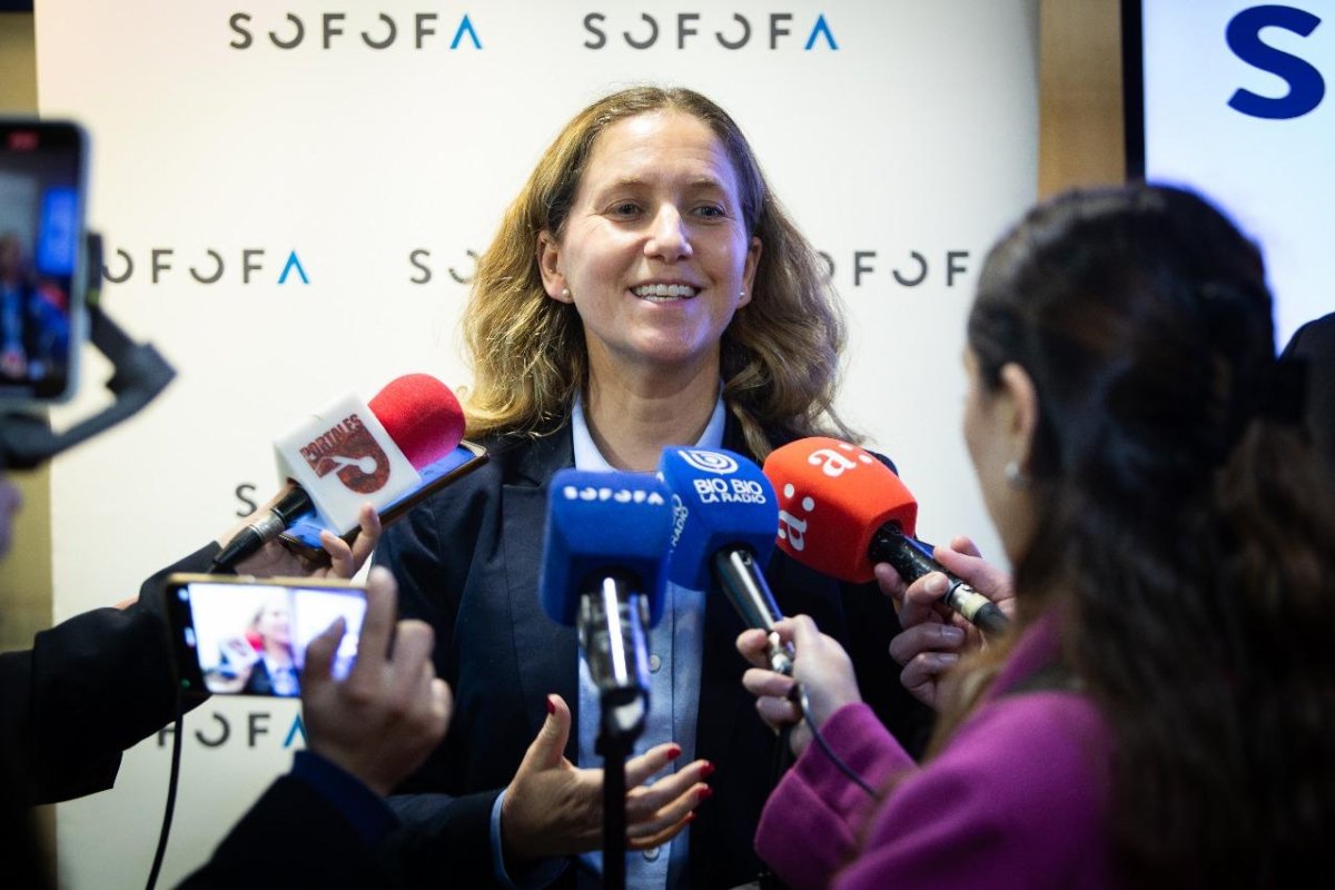 <p>Licencias médicas: presidenta de la Sofofa dice que “es hora de repensar nuestra función pública a través de un Estatuto Administrativo”</p>