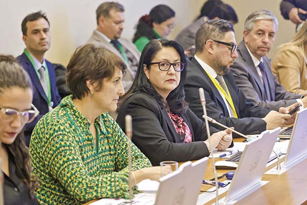 <p>La contralora Dorothy Pérez concurrió ayer a la comisión de Salud de la Cámara de Diputados. Foto: Aton</p>