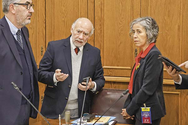 <p>La superintendenta de Seguridad Social, Pamela Gana, expuso ante los senadores de la comisión de Salud. Foto: Aton</p>
