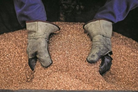 Minería argentina: familia Braun se suma al auge de inversiones locales