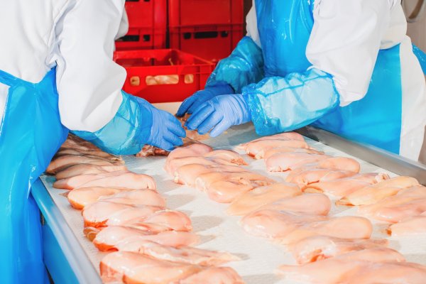 Tradicional empresa de alimentos chilena en picada tras quedar fuera de millonaria licitación para proveer a organismos estatales