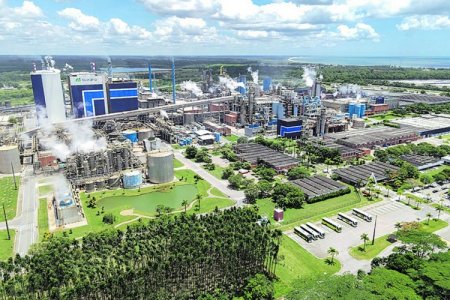 Suzano adquiere el 51% del negocio global de tissue de Kimberly-Clark y pone presión sobre Softys