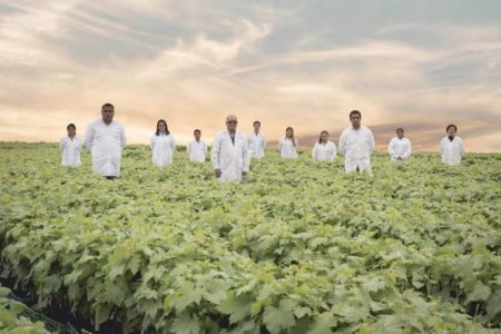 Vivero peruano Los Viñedos firma acuerdo clave con biotecnológica chilena y acelera su plan de diversificación