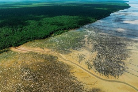 Petrobras y Chevron se adjudican bloques en subasta de Foz do Amazonas, en Brasil