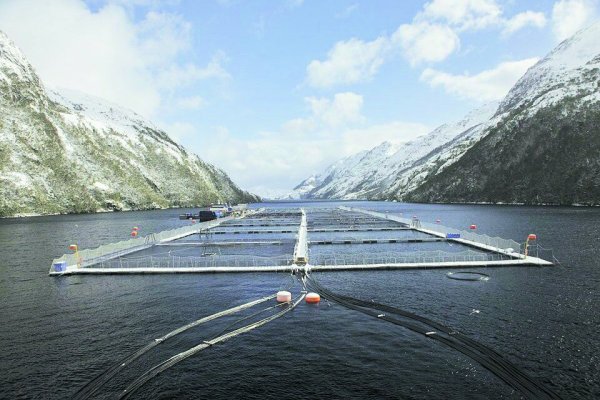<p>De norte a sur, sólo una región de Chile se quedó bajo el carro del crecimiento en el primer trimestre</p>