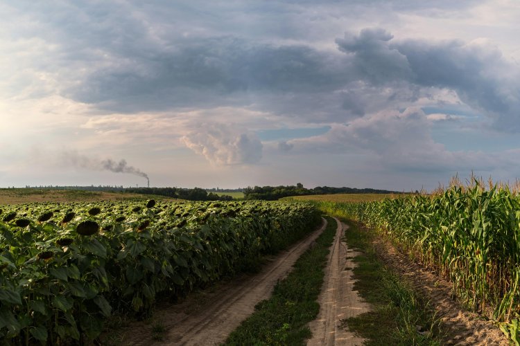 <p>Crisis en Medio Oriente dispara alerta por el precio de un insumo clave para el agro argentino</p>