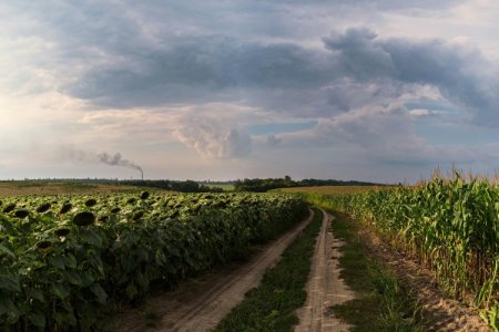 Crisis en Medio Oriente dispara alerta por el precio de un insumo clave para el agro argentino