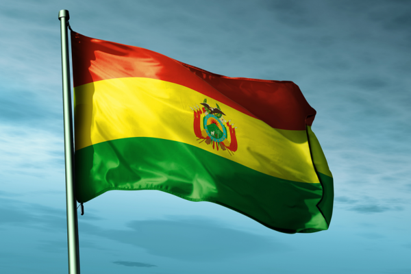 ¿Riesgo de default? Senado boliviano debate préstamos contrarreloj frente a severa crisis económica