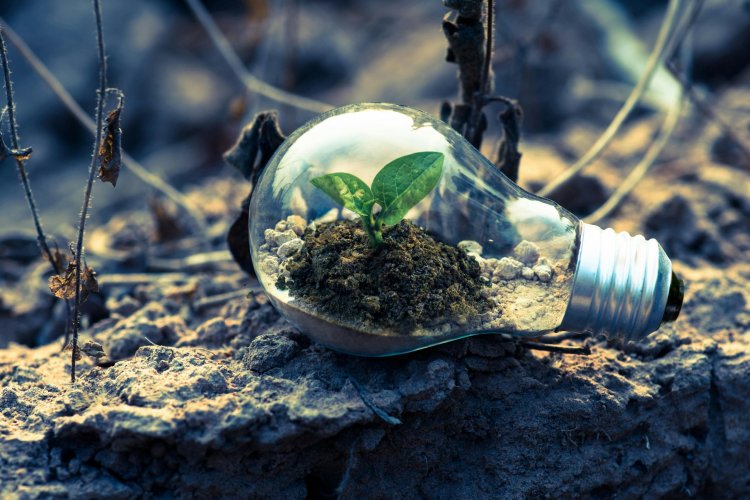 <p>Argentina, Chile y Ecuador lideran el ranking de inversión verde en América Latina</p>